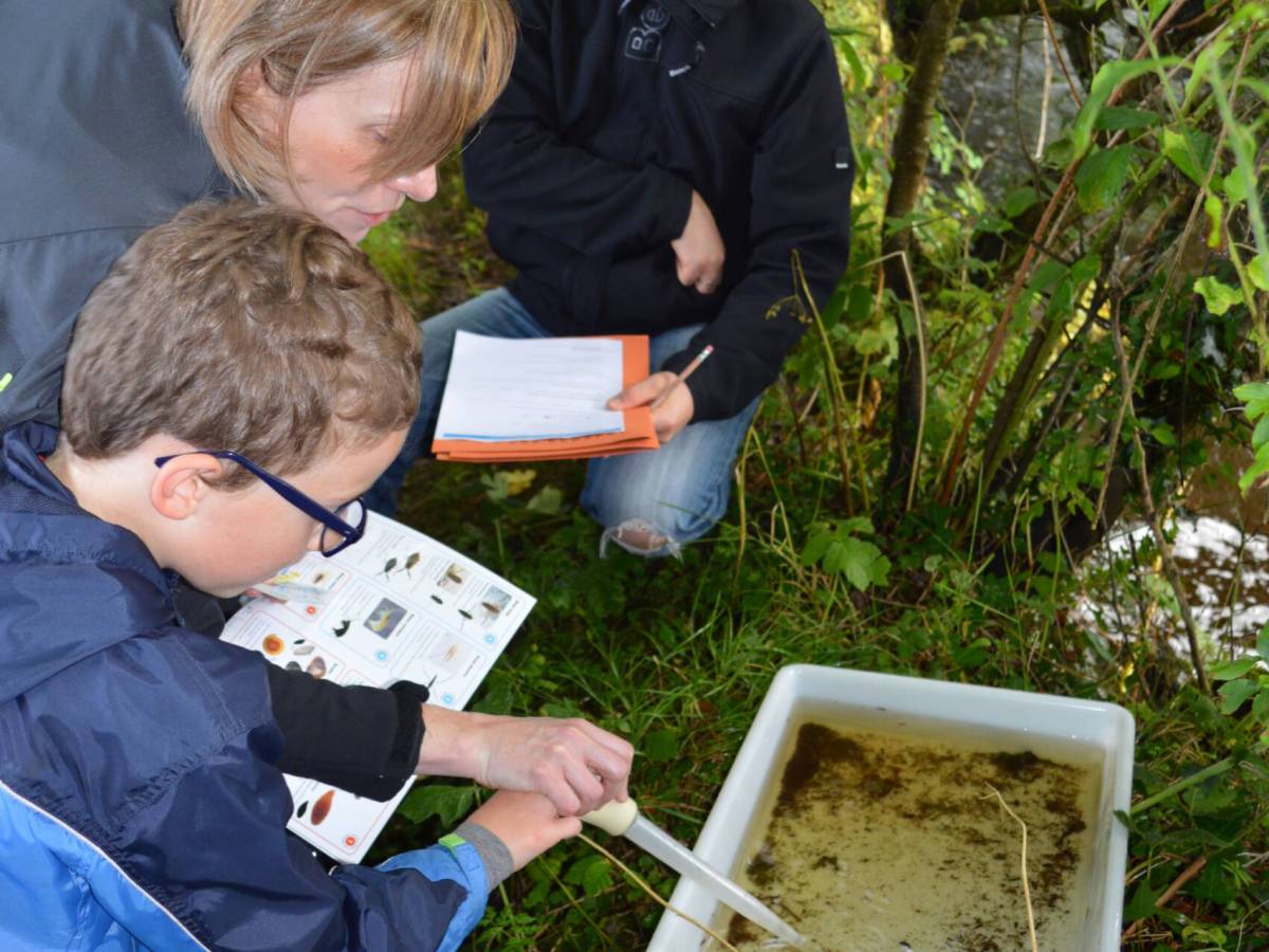 Step Into Nature: Imbolc Festival Invites You to Learn, Create and Get&nbsp;Involved